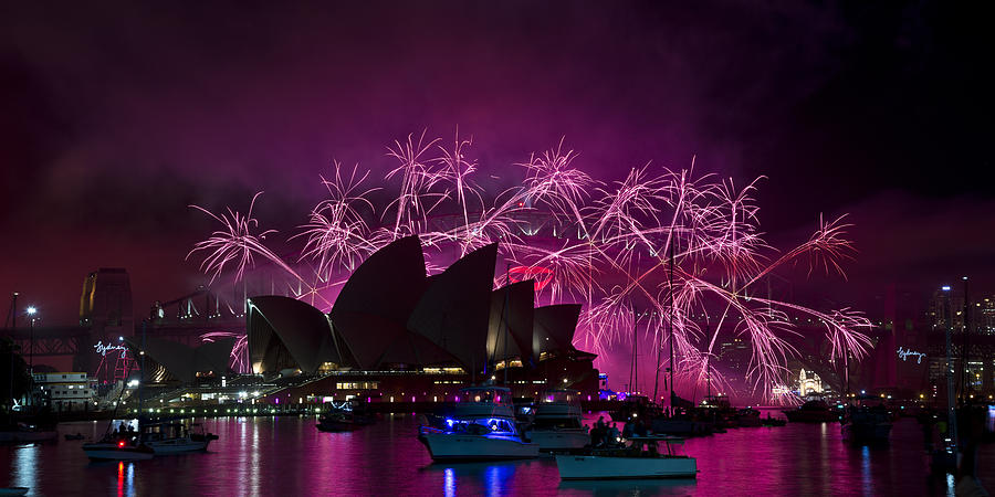 Sydney Fireworks - Purple Photograph by Rick Drent
