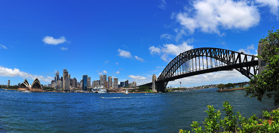 Sydney Harbour Photograph by Harry Spitz