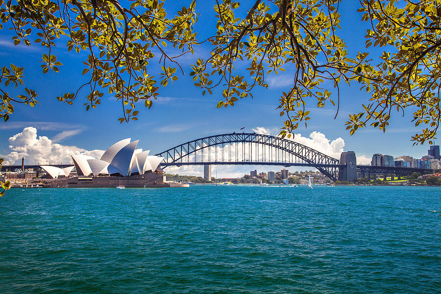 Sydney Harbour Skyline 2 Photograph