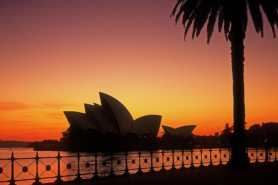 Sydney Harbour Sunrise Photograph by Inge Riis McDonald
