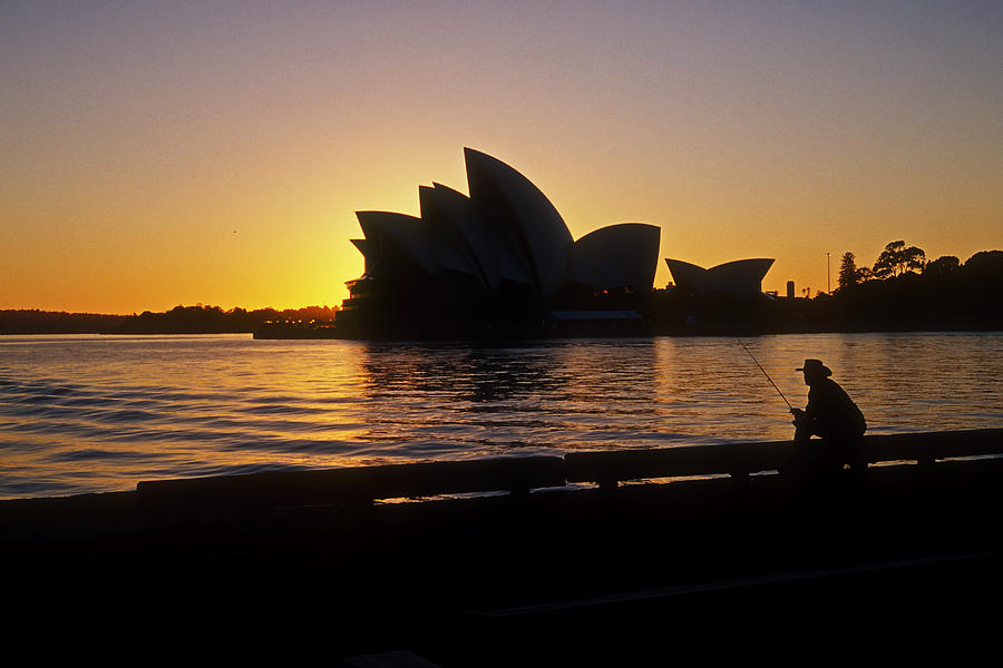 Sydney Morning Photograph by Inge Riis McDonald