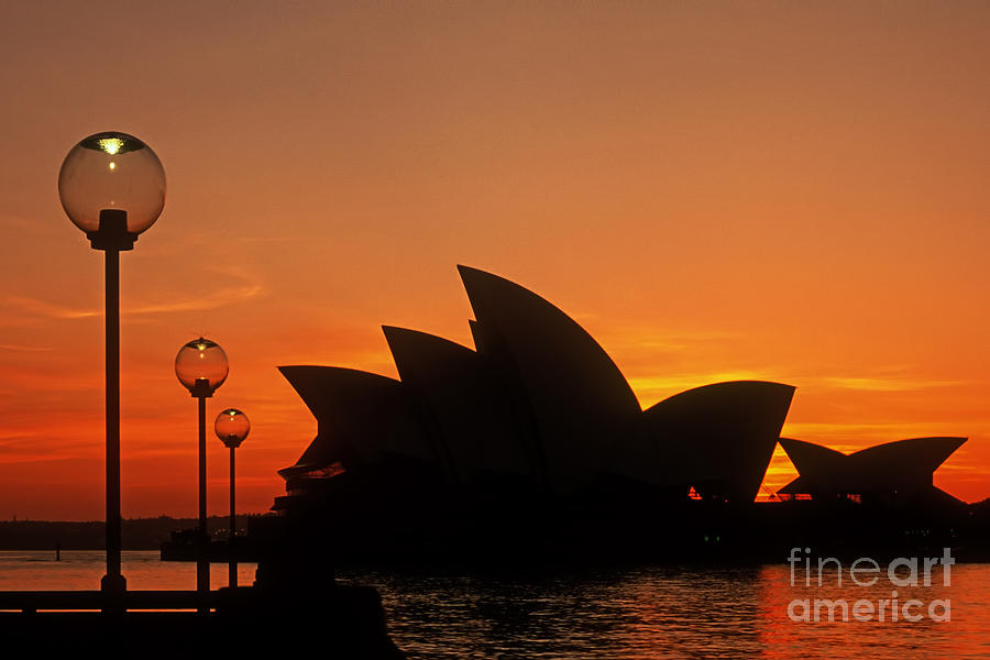 Sydney Opera House Photograph by Inge Riis McDonald