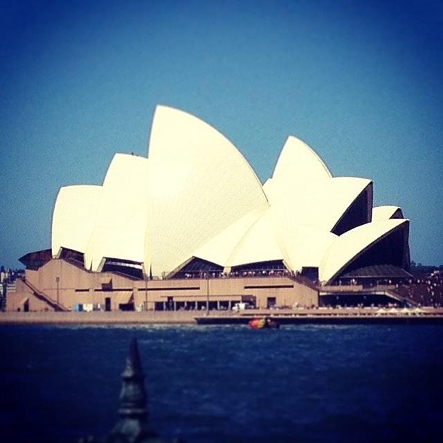 Summer Photograph - #sydney #opera #house #summer #amazing by Colleen Lear