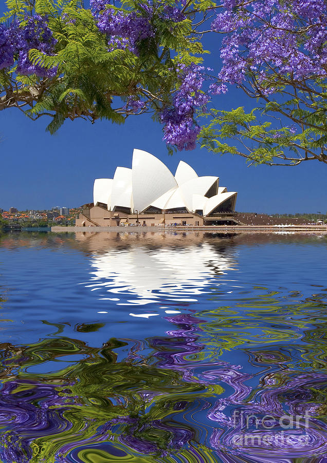 Sydney Opera House with jacaranda reflection Photograph by Sheila Smart Fine Art Photography