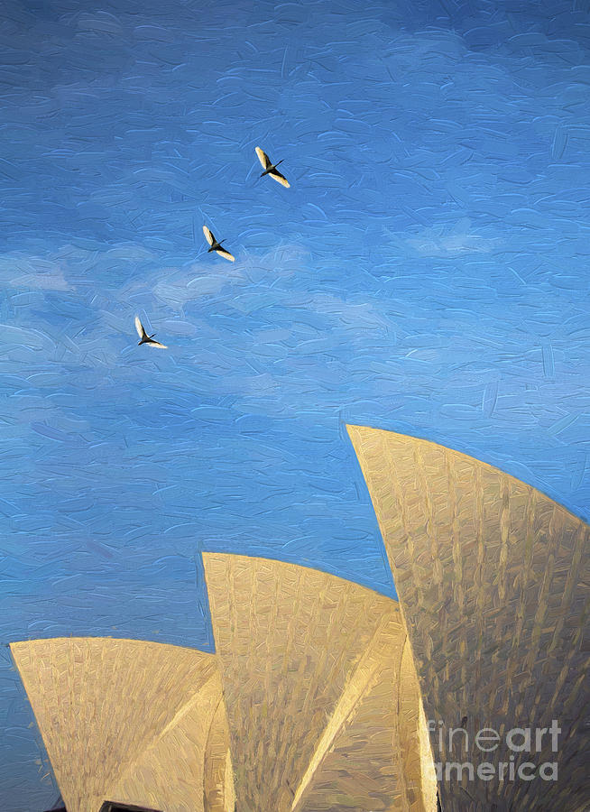 Sydney Opera House with sacred ibis Photograph by Sheila Smart Fine Art Photography