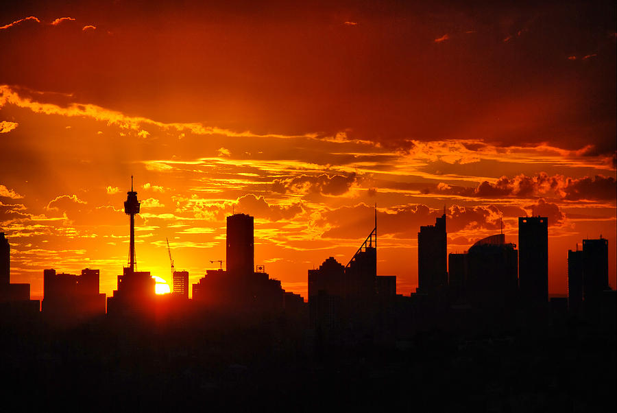 Sydney silhouette Photograph by Andrei SKY