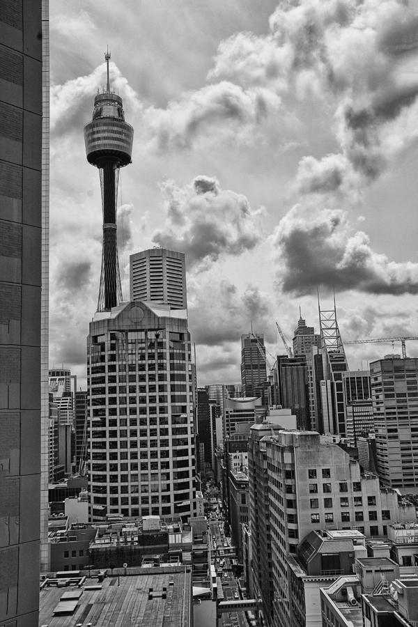 Sydney Skyline Photograph by Douglas Barnard