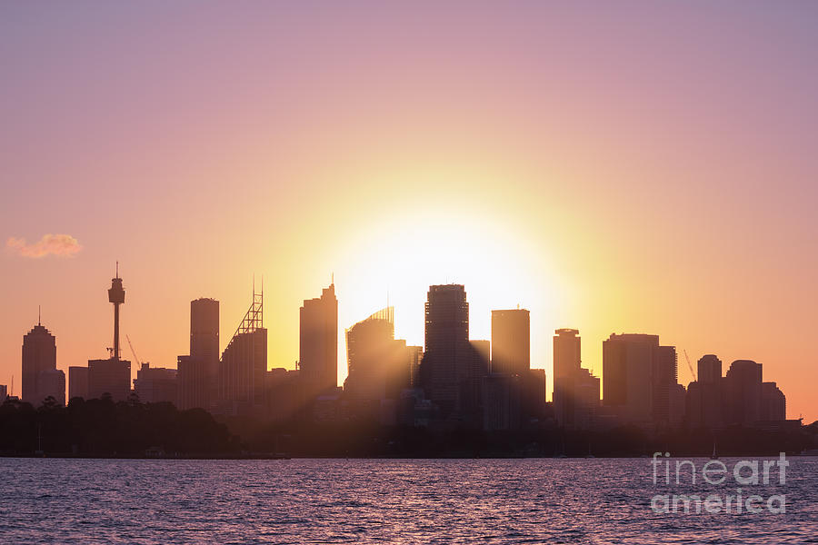 Sydneys Evening Photograph by Jola Martysz