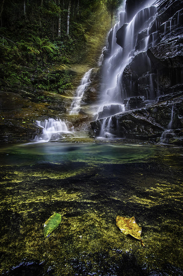 Sylvia Falls Photograph By Tony Heyward - Pixels