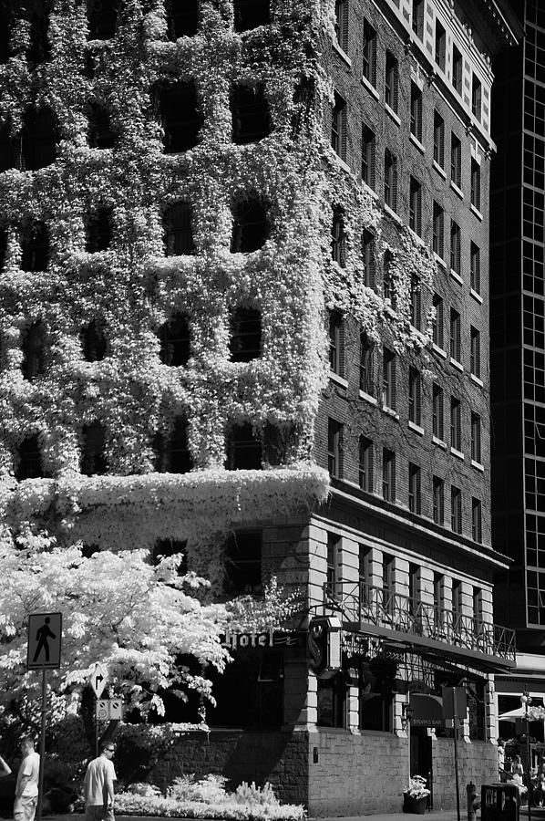 Black And White Photograph - Sylvia Hotel by Doug Farmer