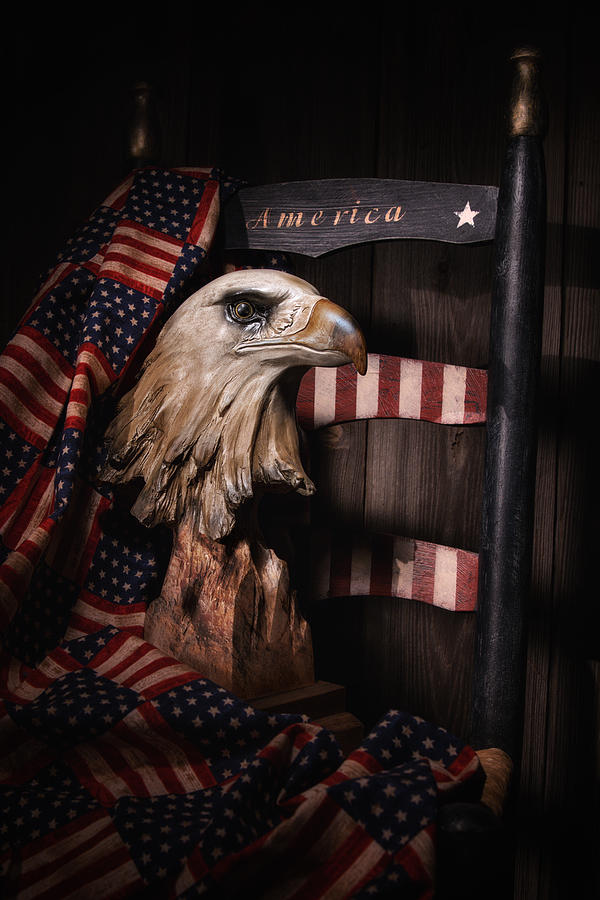 Symbol of America Still Life Photograph by Tom Mc Nemar
