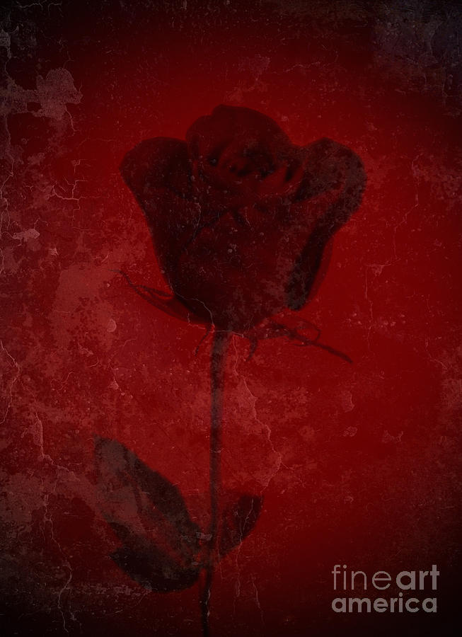 Rose Digital Art - Symbol Of My Love Blooming Red Rose  by Adri Turner