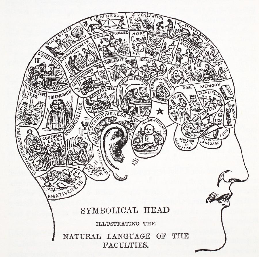 French Drawing - Symbolical Head Showing The Natural by English School