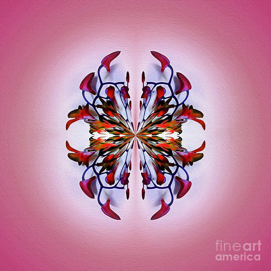 Symmetrical Orchid Art - Reds Photograph by Kaye Menner