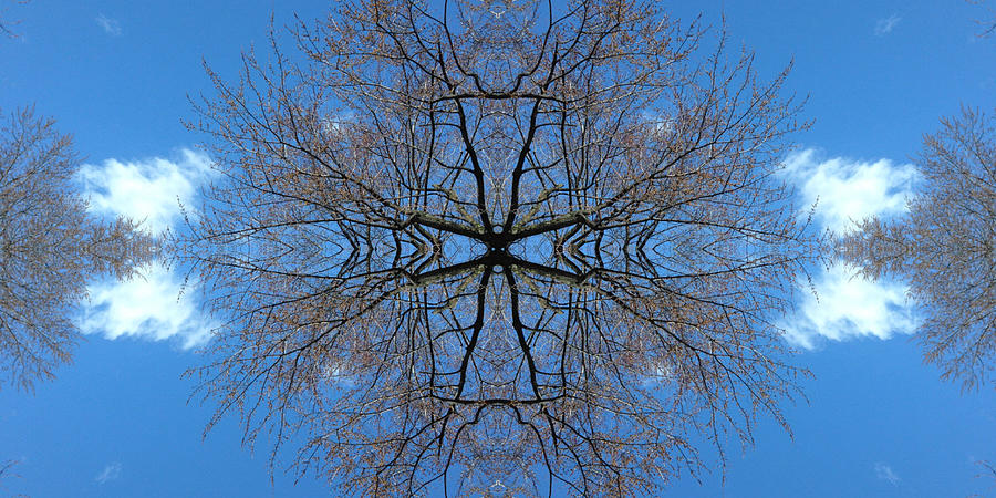 Symmetry Photograph by Cristina Stefan