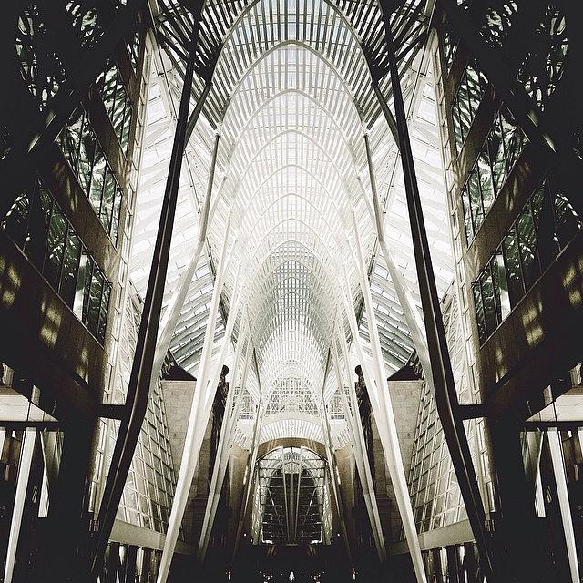 Architecture Photograph - Symmetry by Natasha Marco