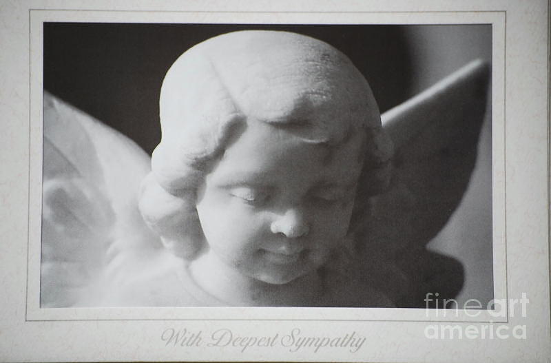 Sympathy      Angel Photograph by Sharon Elliott