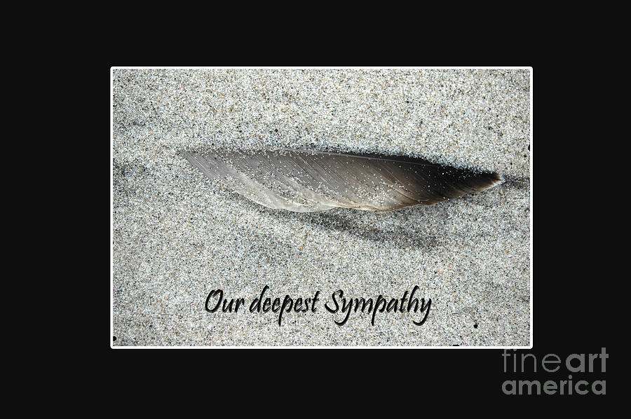 Sympathy Feather Photograph by Randi Grace Nilsberg