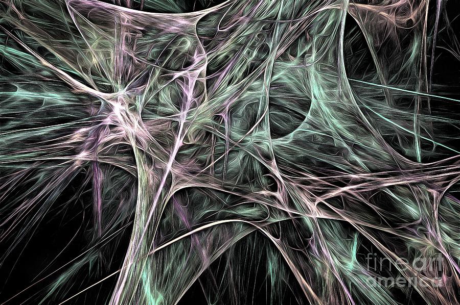 Synapsis Abstract Fractal Photograph by Edward Fielding