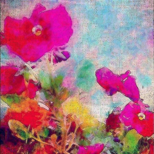 Flower Photograph - synchronicity... #digitalart With by Robin Mead