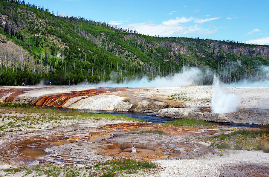 Synchronous Geyser Spray Photograph by Gail Shotlander Synchronous Geyser Spray Photograph by Gail Shotlander