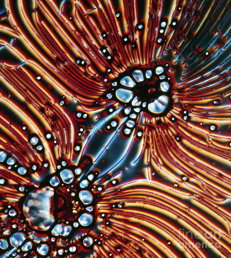 Synthetic Crystals Of Common Photograph by De Agostini Picture Library
