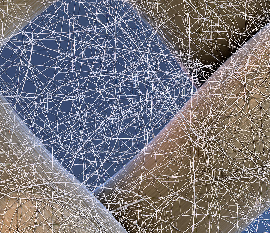 Synthetic Fibers, Sem Photograph by Eye of Science - Fine Art America
