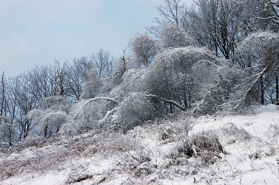 Syracuse Ice Storm Photograph by William Kimble