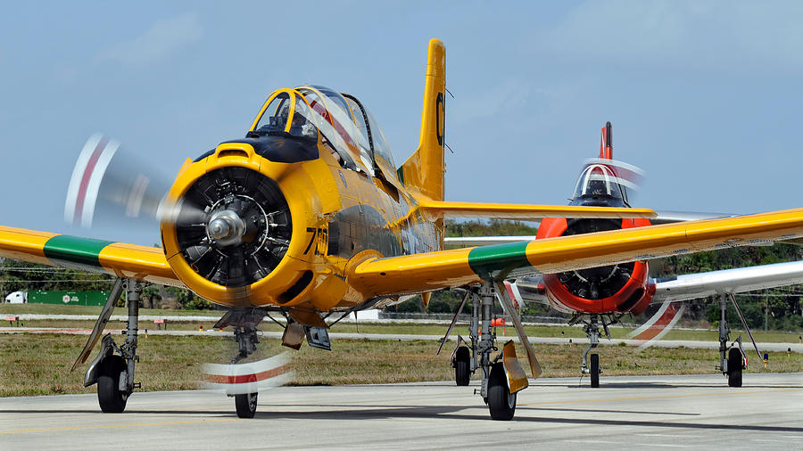 T-28 Taxi  Photograph by David Hart