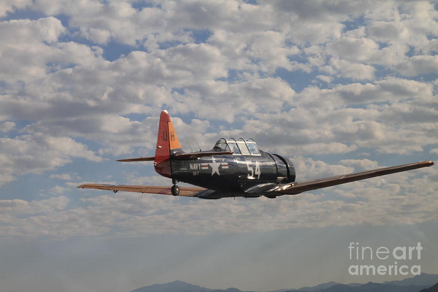 T-6 Texan Photograph by Terry Shelton