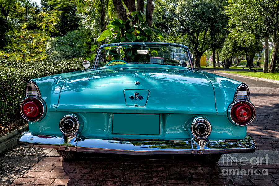 Ford Thunderbird #1 Photograph by Adrian Evans