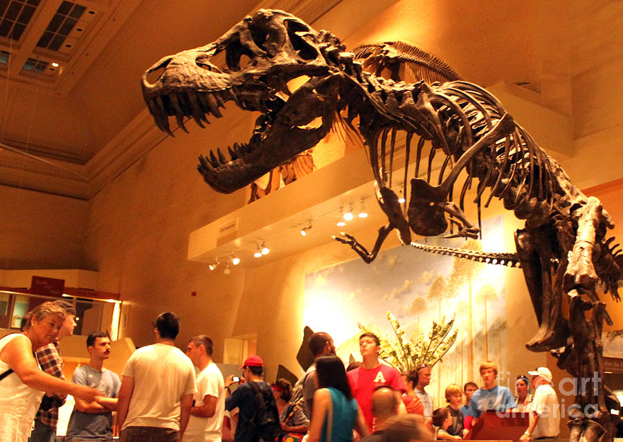 t rex at the smithsonian