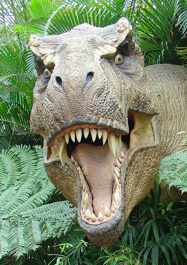 T-Rex Photograph by David Nicholls