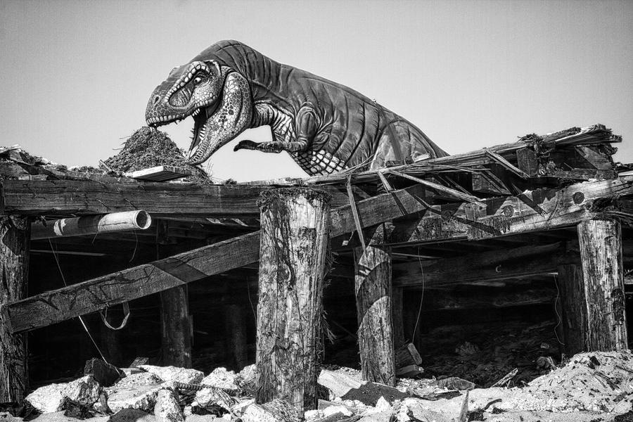 T-rex Photograph by Dawn J Benko
