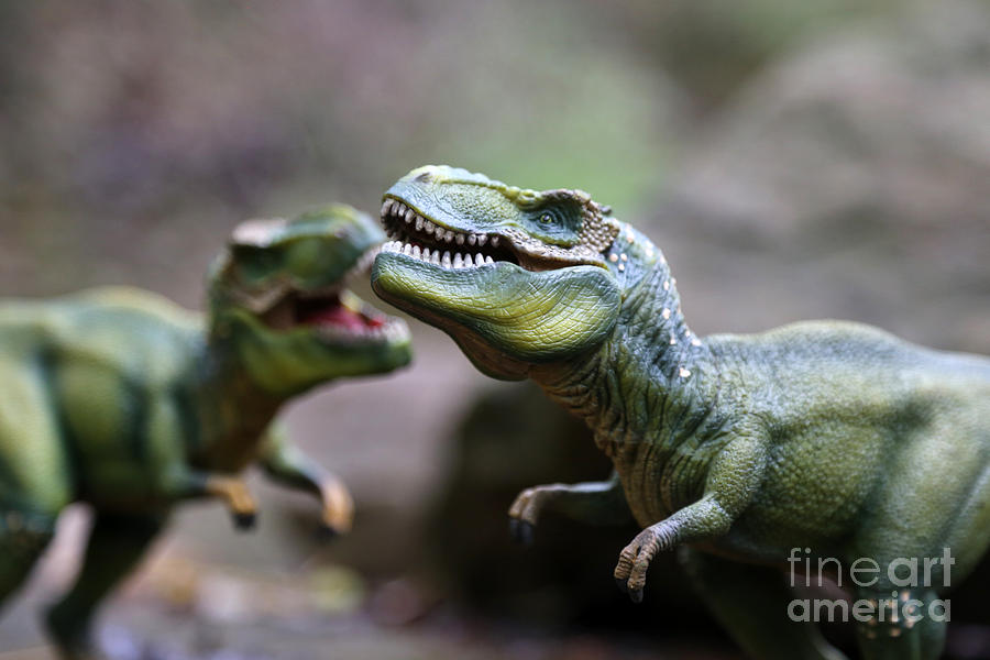 Prehistoric Photograph - T rex fighting  by Dwight Cook