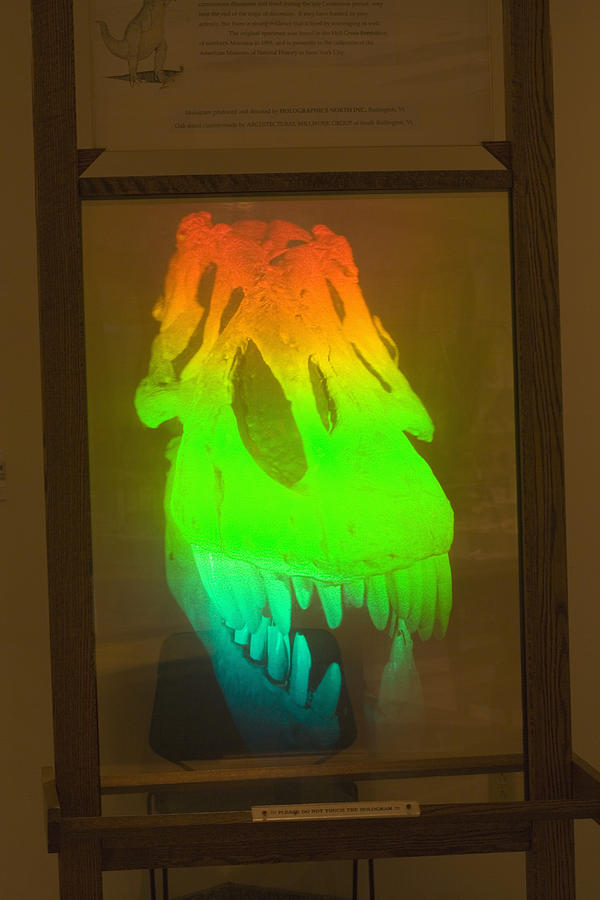 T-rex Hologram Photograph by Science Stock Photography
