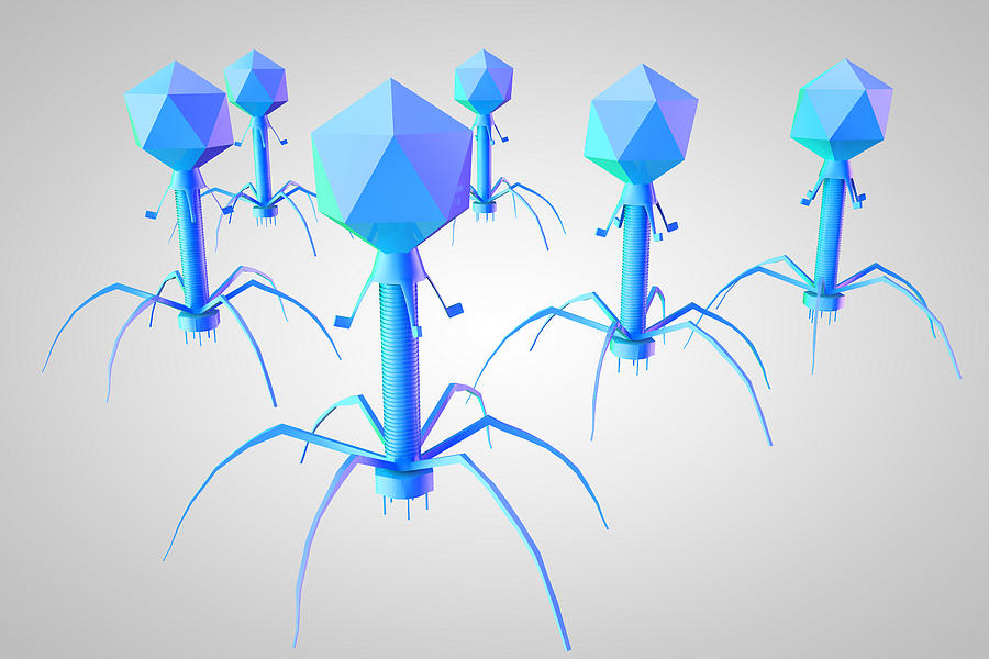 T4 Bacteriophage Virus, Illustration Photograph by Ella Marus Studio