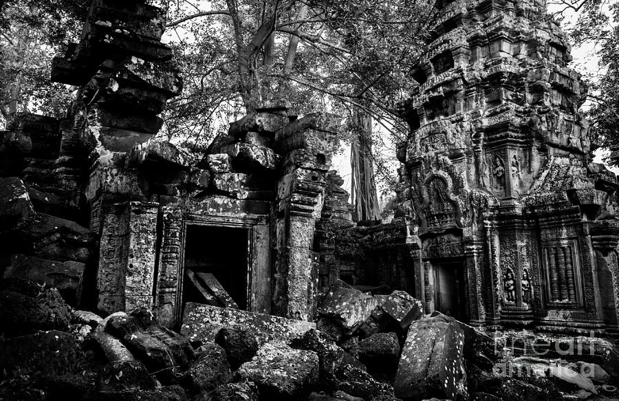Black And White Photograph - Ta Prohm by Julian Cook