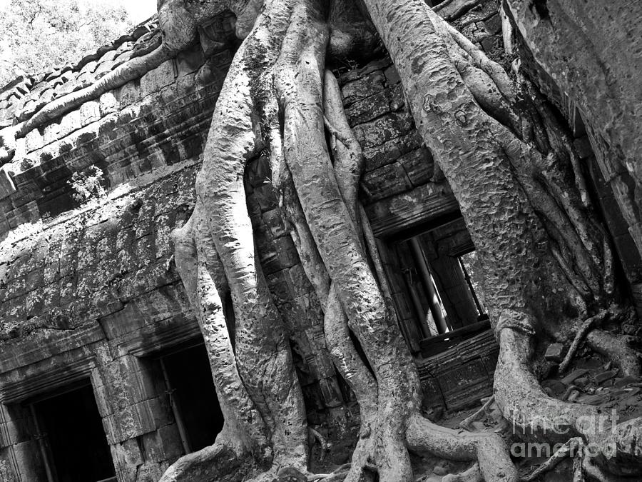 Ta Prohm Roots And Stone 03 Photograph by Rick Piper Photography