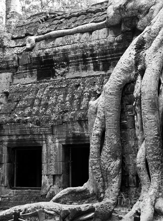 Architecture Photograph - Ta Prohm Roots And Stone 05 by Rick Piper Photography