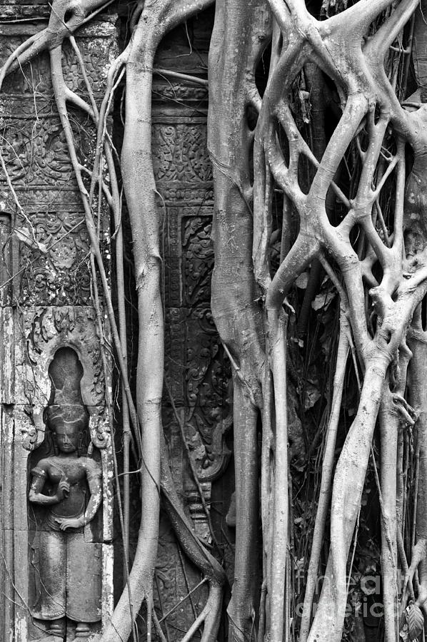 Ta Prohm Roots And Stone 09 Photograph by Rick Piper Photography