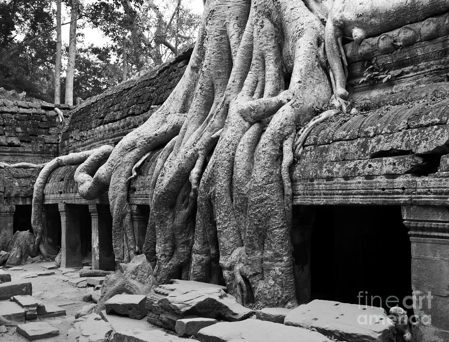 Ta Prohm Roots And Stone 11 Photograph by Rick Piper Photography