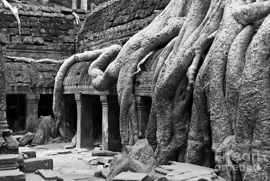 Ta Prohm Roots And Stone 12 Photograph by Rick Piper Photography