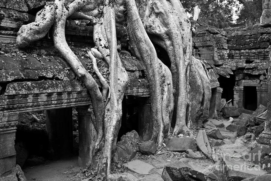 Ta Prohm Roots And Stone 13 Photograph by Rick Piper Photography