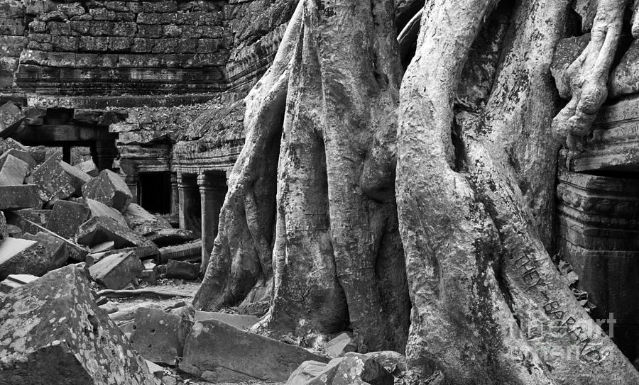Ta Prohm Roots And Stone 14 Photograph by Rick Piper Photography
