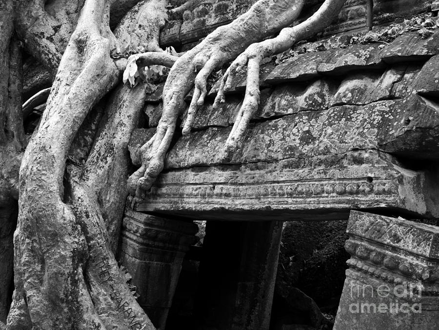 Ta Prohm Roots And Stone 15 Photograph by Rick Piper Photography
