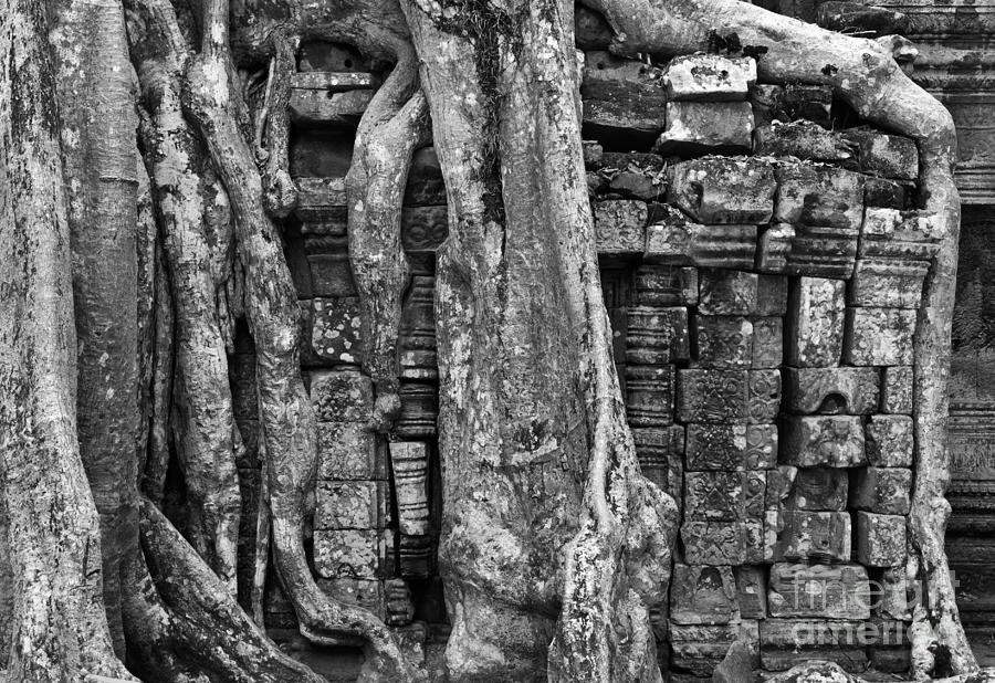 Ta Prohm Roots And Stone 16 Photograph by Rick Piper Photography