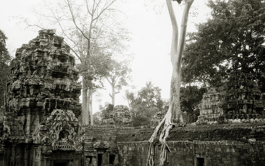 Paradise Photograph - Cambodia Ta Prohm  by Shaun Higson