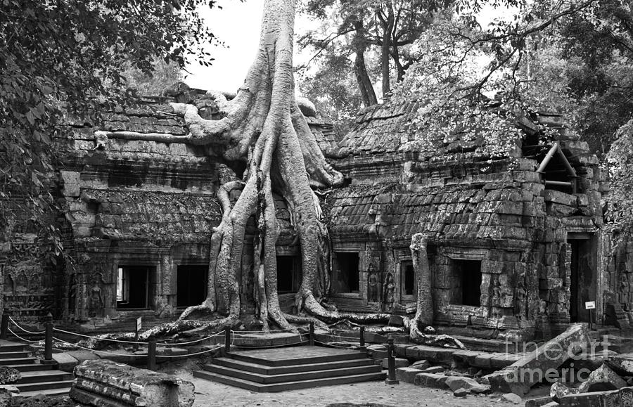 Ta Prohm Temple 01 Photograph by Rick Piper Photography