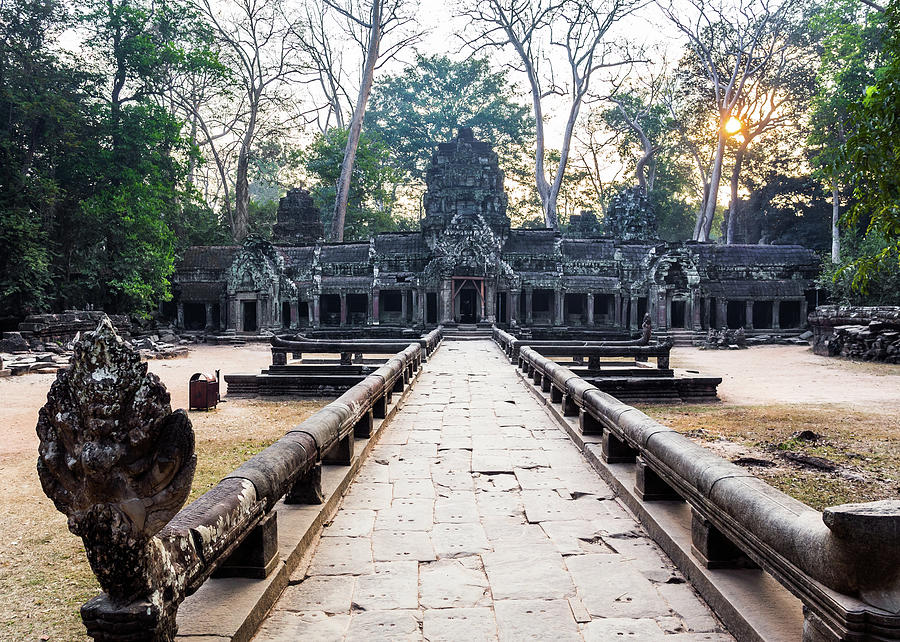 Ta Prohm Temple At Sunrise, Angkor Photograph by Miha Pavlin